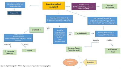 Current State of the Diagnosis of Invasive Pulmonary Aspergillosis in Lung Transplantation